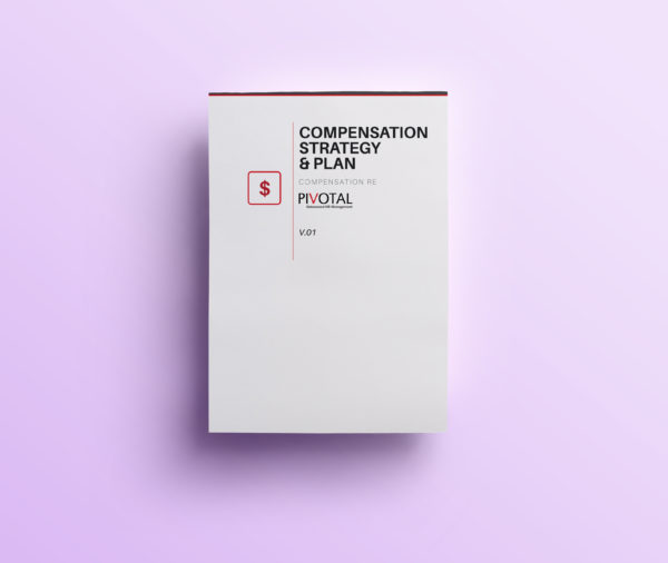 Compensation Strategy & Plan - Image 2