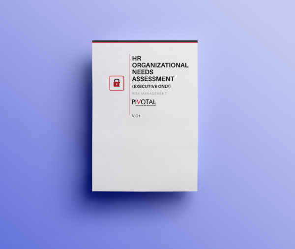 HR Organizational Needs Assessment (Executive Only) - Image 2
