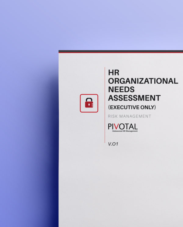 HR Organizational Needs Assessment (Executive Only)