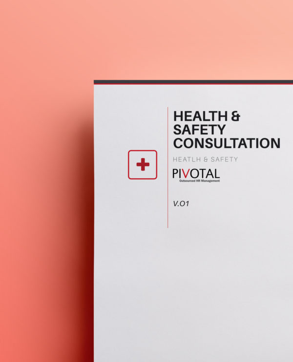 Health & Safety Consultation