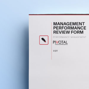 management performance reivew