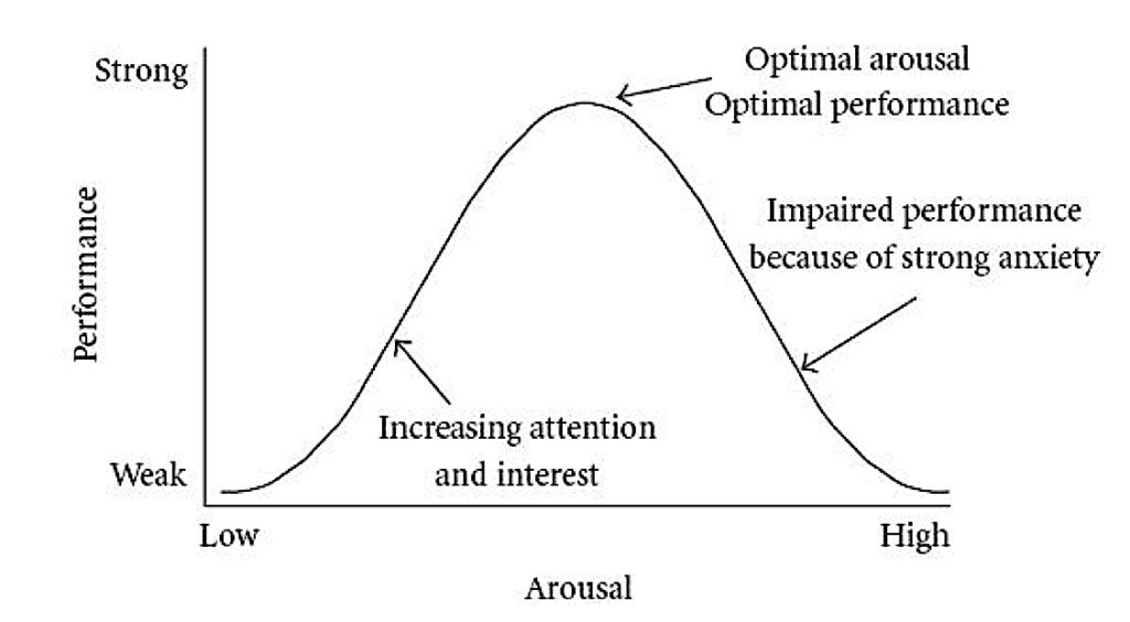 Optimal stress versus bad stress Pivotal HR Solutions Blog