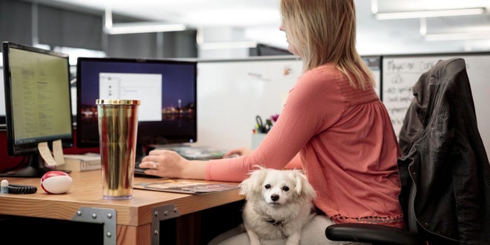 Pet Perks: How important are they? Data indicates it is very important in competitive employment market 3 Amazons pet friendly workplace