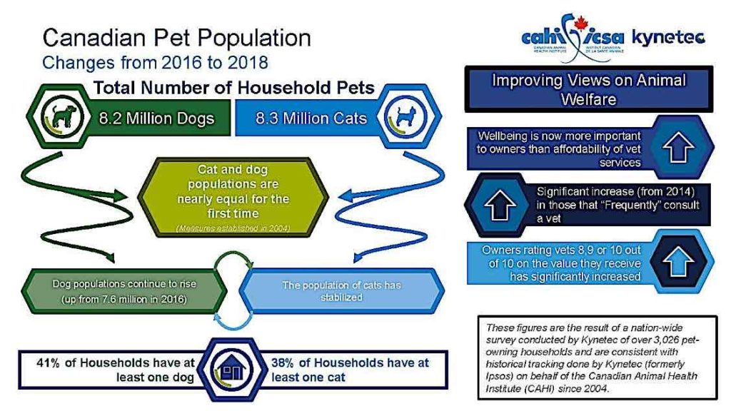 Infographic Style Diagram Pet Populations Kynetec Pivotal HR Solutions Blog
